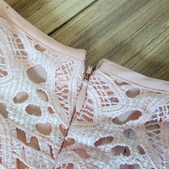 Escada Allover Rose Checked Swiss Lace Sheath Dress in Light Gloss Pink - Picture 14 of 16